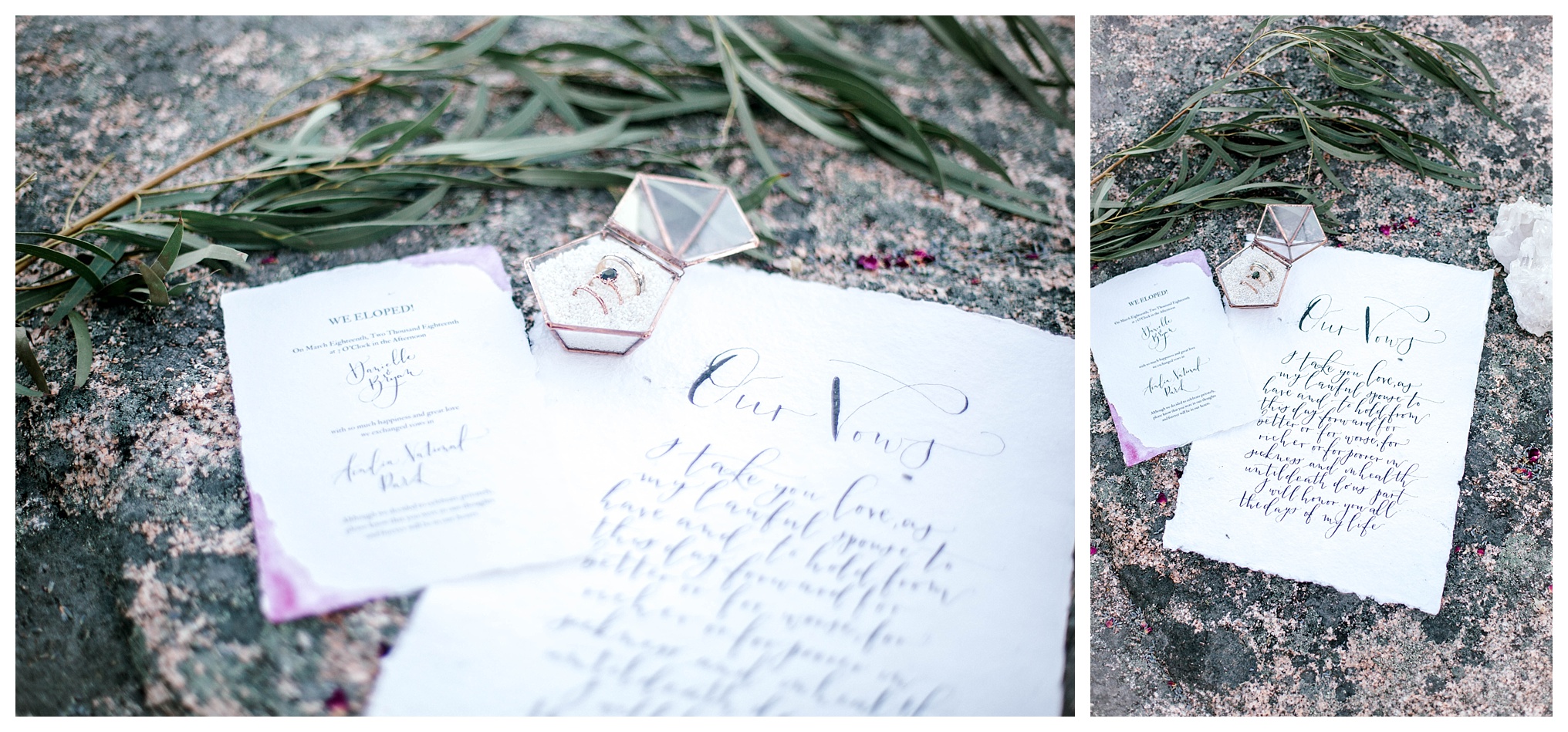 Otter Cliff Acadia Styled Elopement